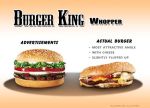 burger-advertising-reality-comparaison-04